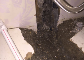 依安卫生间测漏水哪家好