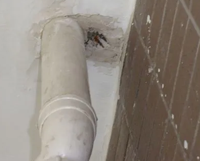 依安漏水检测哪家好